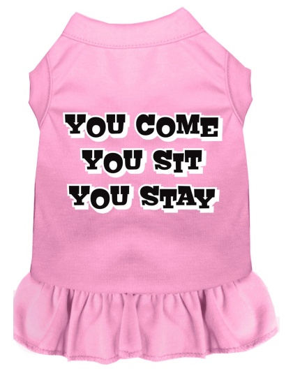 You Come, You Sit, You Stay Screen Print Dress Light Pink 4X (22)