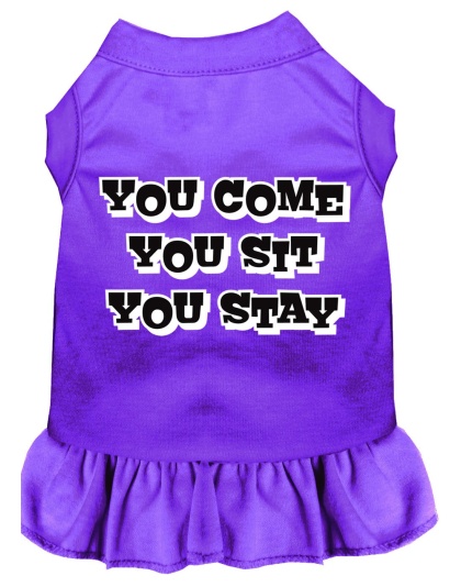 You Come, You Sit, You Stay Screen Print Dress Purple 4X (22)