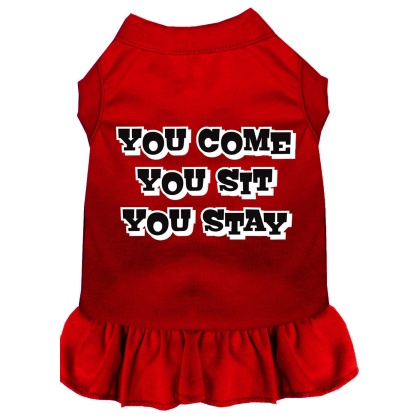 You Come, You Sit, You Stay Screen Print Dress Red 4X (22)