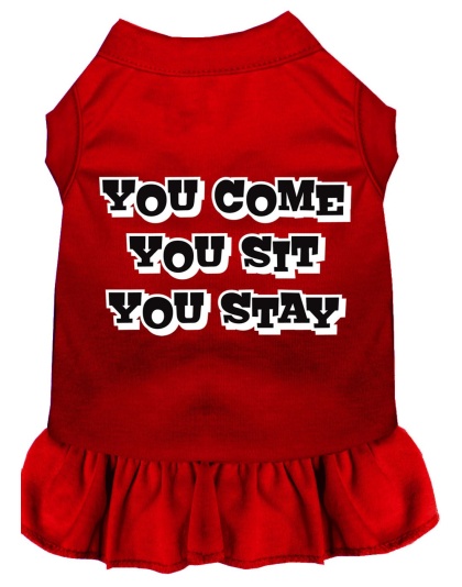 You Come, You Sit, You Stay Screen Print Dress Red 4X (22)
