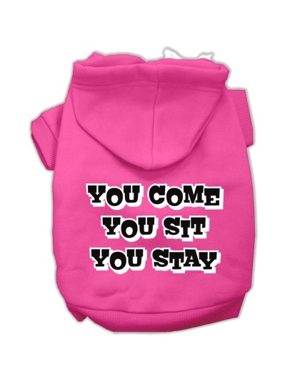 You Come, You Sit, You Stay Screen Print Pet Hoodies Bright Pink Size L