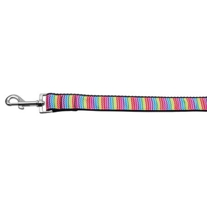 Zigzaggy Rainbow Nylon Dog Leash 3/8 inch wide 4ft Long