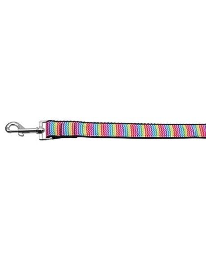 Zigzaggy Rainbow Nylon Ribbon Dog Collars 1 wide 4ft Leash